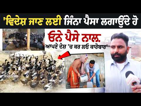 “Instead of Spending on Going Abroad, Invest in Business at Home,” Say Bathinda Couple Earning in Lakhs File Photo.