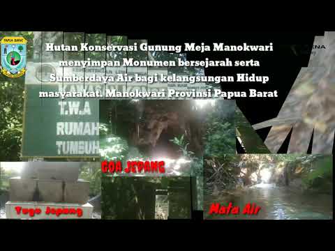Hutan Konserfasi Gunung Meja, Manokwari menyimpan Monument bersejarah dan sumberdaya     alam.