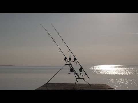 Watercraft Baits - Endlich mehr fangen!