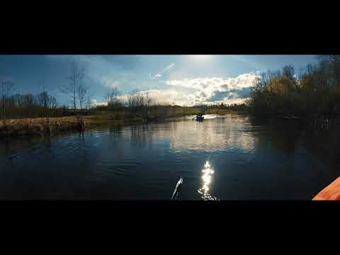 Ельма 17.05.20.