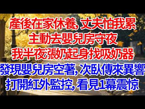 產後在家休養，丈夫怕我累主動去嬰兒房守夜。我半夜漲奶起身找吸奶器，發現嬰兒房空著次臥傳來異響。打開客廳紅外監控，看見1幕渾身發冷#人生感悟 #正能量 #故事 #為人處世 #情感