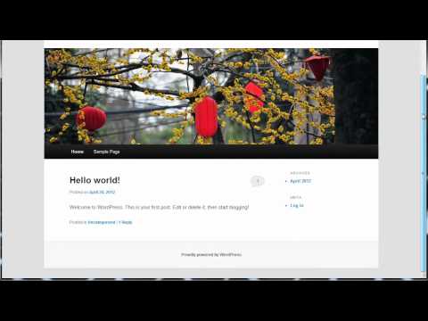 Exactly How To Set Up Your Own Domain Name & Website