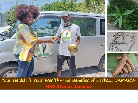 Your Health is Your Wealth - The Benefits of Herbs.....|| JAMAICA