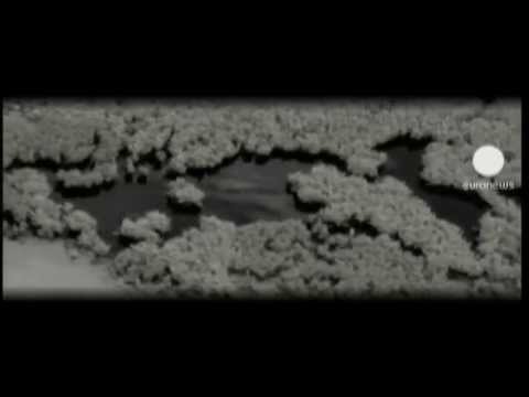 Cheak13 - Mad-A-Gas-Car (prod Cheak13) VideoClip