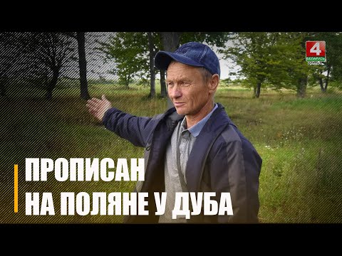 Дом закопали! Под Чечерском мужчина приехал с заработков, а вместо дома — поляна и 2 дуба видео