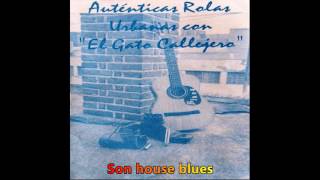 El gato callejero Son house blues