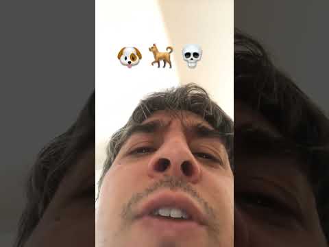 Coldplay Paradise parody (a puppy’s tale of suffering)