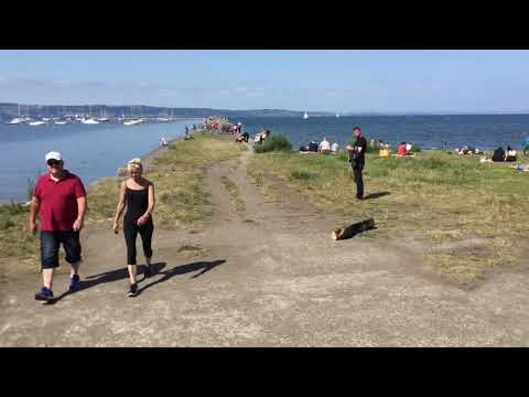 image-How to get to Ocean Terminal in Edinburgh by bus or train?