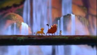 The Circle of Life: Zoanette Johnson&#39;s Version