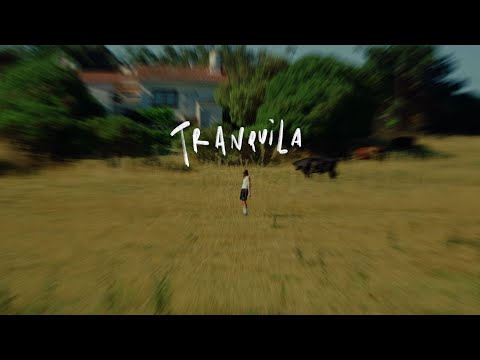 santi muk - tranquila (video oficial)