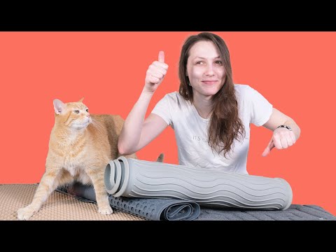 Top 5 Best Cat Litter Mats (We Tested Them)