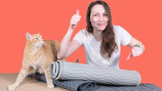 Top 5 Best Cat Litter Mats (We Tested Them)