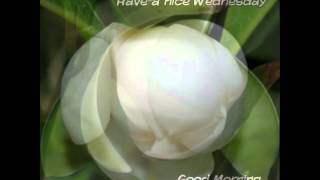 Wednesday Morning - America.wmv