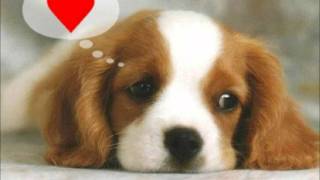 alex ibarra - ese silencio