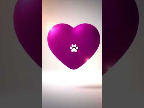 Vídeo de LIA E LUA