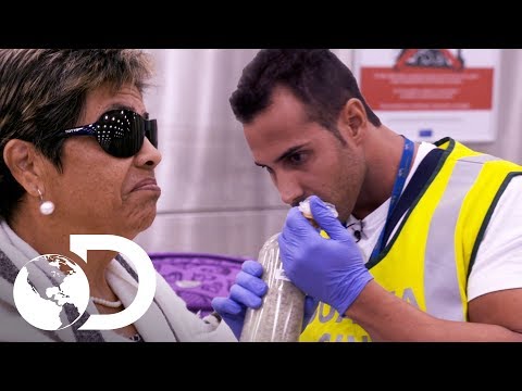 Policía detecta drogas en maleta de anciana | Control de fronteras: España | Discovery Latinoamérica
