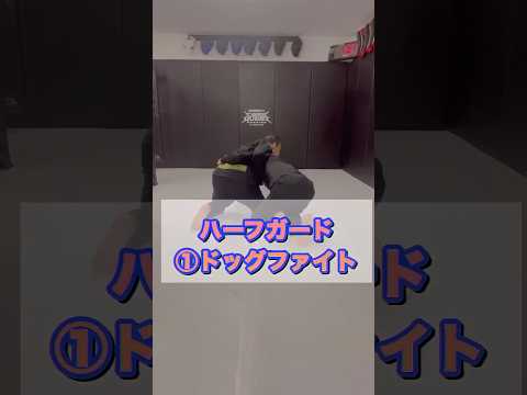 【二ーシールドハーフガード】ドッグファイトから片足タックル #グラップリング #格闘技 #grappling #ブラジリアン柔術 #rmma #halfguard #ハーフガード