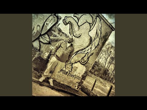 Fresh2Dizzy Music Video