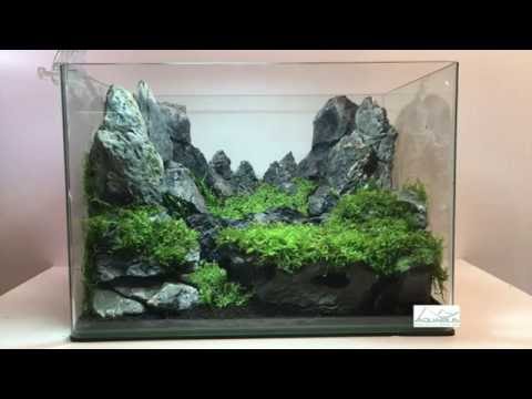 Aquascaping réalisation - Laurent Garcia - Aquarilis