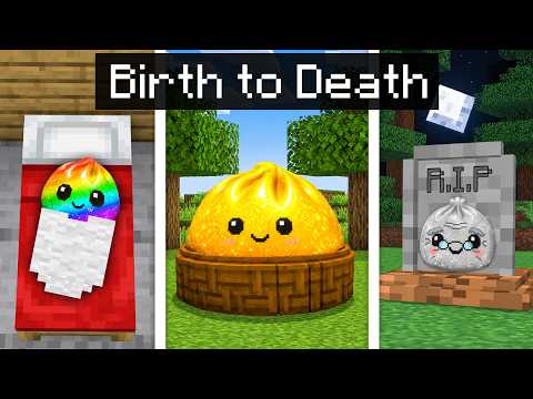 Birth to Death SQUISHY DUMPLING in Minecraft