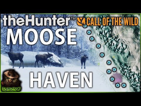This Map Is A MOOSE HAVEN! Starting The Moose Herd Management Grind! Call of the wild