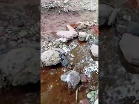 Denuncian contaminación en Los Nogales