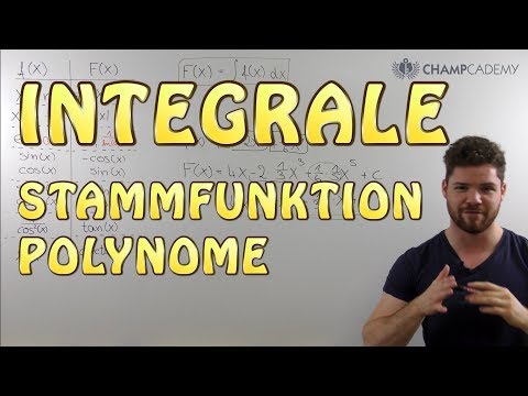 Integralrechnung Stammfunktion Polynome