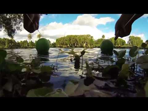 interference pattern - water waves