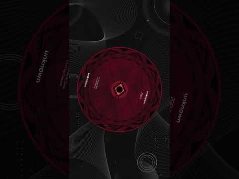 Zgelt – Sajama Lines EP | UNKNREC_02 | Vinyl "12