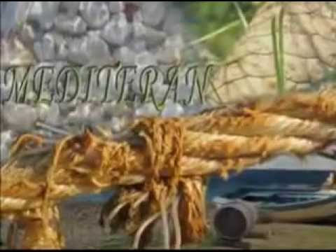 Adriatiq Hotel Zora - Primošten