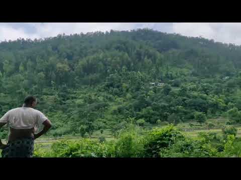 Uttarakhand Nature Photography #nature 