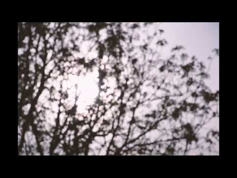 This Town Needs Guns - Crocodile (Simone cover)