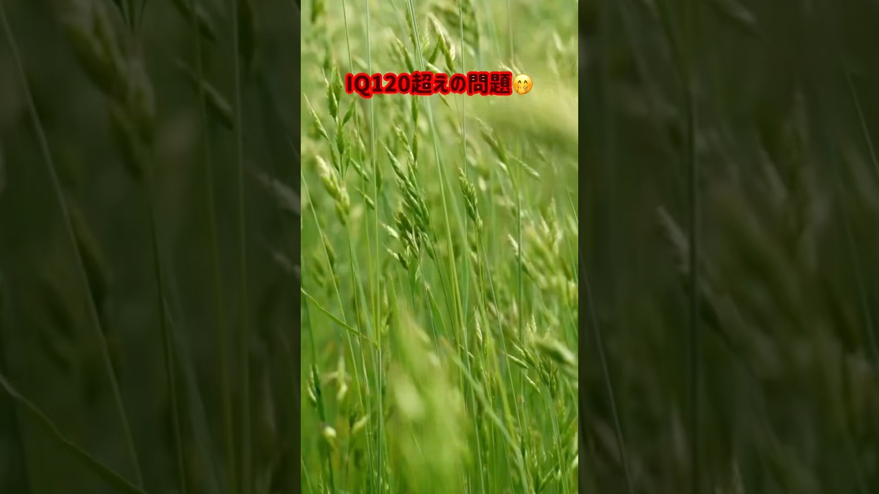 勘違いしたwwwwww#おもしろ #クイズ #なぞなぞ