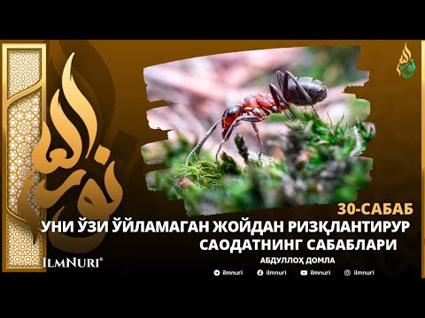 30-САБАБ: УНИ ЎЗИ ЎЙЛАМАГАН ЖОЙДАН РИЗҚЛАНТИРУР / САОДАТНИНГ САБАБЛАРИ / АБДУЛЛОҲ ДОМЛА