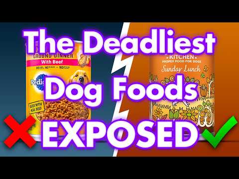 8 UK Dog Food Brands To AVOID At All Costs! (And 3 That Are SAFE)