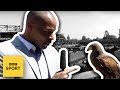 NFL S Osi Umenyiora Goes To Wimbledon BBC Sport