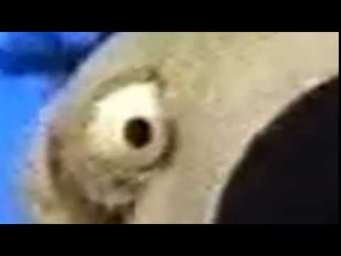 download lagu mp3 mp4 Pichiruchi, download lagu Pichiruchi gratis, unduh video klip Pichiruchi