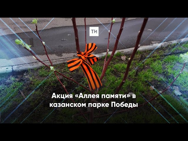 В казанском парке Победы активисты высадили яблони в память о погибших героях войн