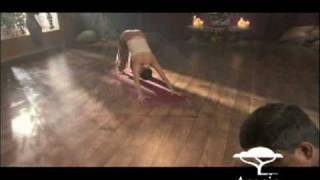 Get Chakra Balanced with Sharon Gannon