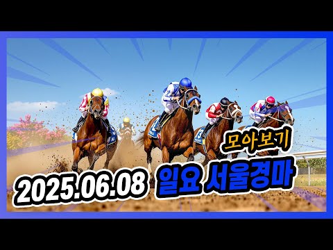 2025년 6월 8일 일요 서울경마 전체경주 모아보기