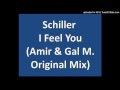 Schiller Heppner - I Feel You (Amir & Gal M ...
