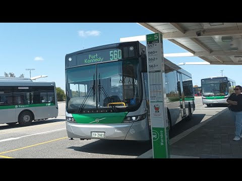 [Warnbro Go Time] Transperth Bus Route No. 560 (TP2983) Warnbro Station to Port Kennedy