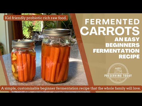 Fermented Carrot Sticks | Fermentation for Beginners | easy! no special equipment needed!