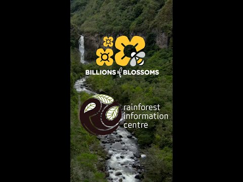 Protecting pollinators in Ecuador