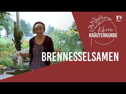 Brennnessel-Samen für ein gutes Immunsystem | Mini Kräuterkunde mit Ruth Pfennighaus