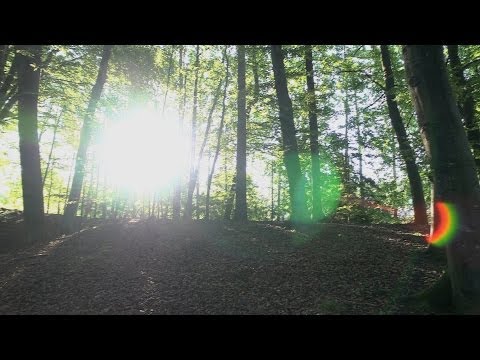 Krankheitsbilder - Die Sprache der Seele und ihre Bedeutung, Dr. Ruediger Dahlke