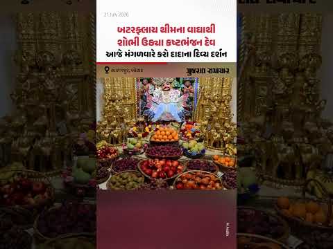 બટરફ્લાય થીમના વાઘાથી શોભી ઉઠ્યા Kashtbhanjan Dev, આજે મંગળવારે કરો દાદાના દિવ્ય દર્શન બટરફ્લાય થીમના વાઘાથી શોભી ઉઠ્યા Kashtbhanjan Dev, આજે મંગળવારે કરો દાદાના દિવ્ય દર્શન
