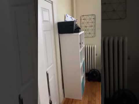 Boston Apartments - 2 Beds 1 Bath - Cambridge - Central Square/cambridgeport