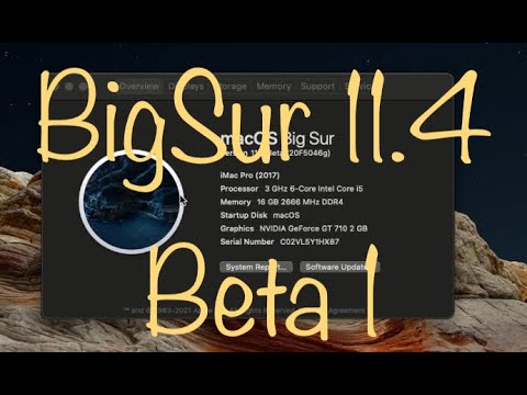 BigSur 11.4 beta 1 updated from 11.3 beta 8
