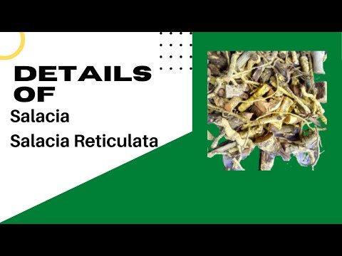 Salacia chinensis extract - saptachakra extract, packaging t...